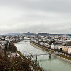 23-12-20 10-12-21 8231